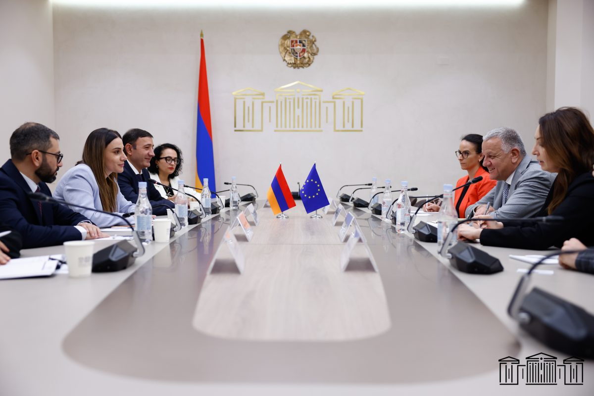 EU Delegation Discusses Visa Liberalization with Armenian MPs